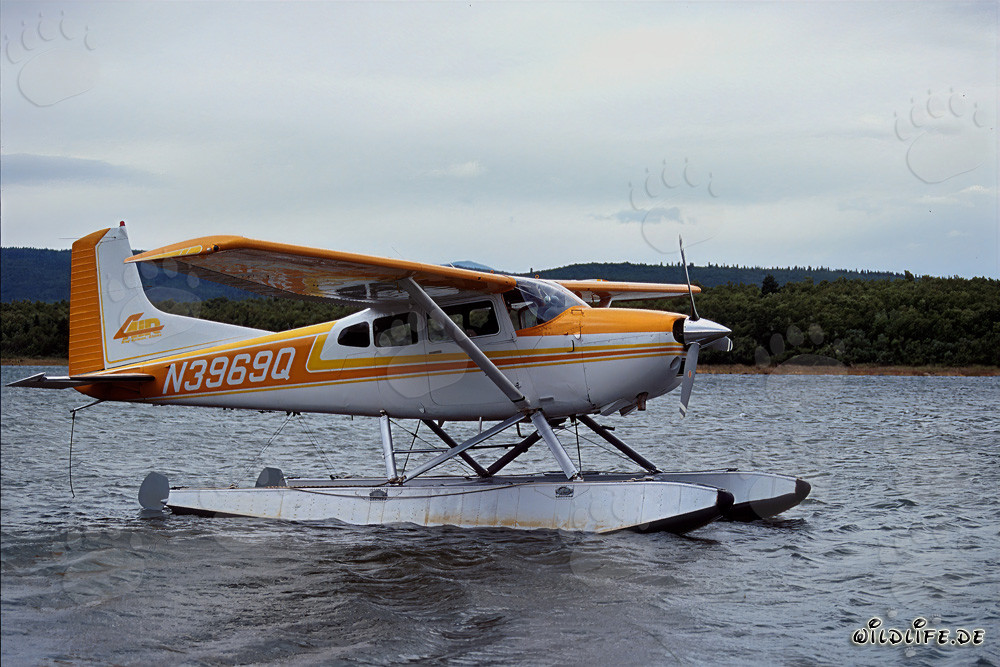 Adventure with the Bush Plane in Alaska