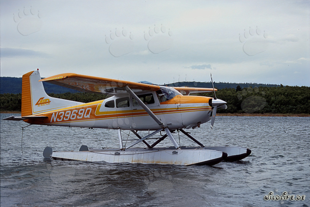 Aventura en hidroavión en Alaska