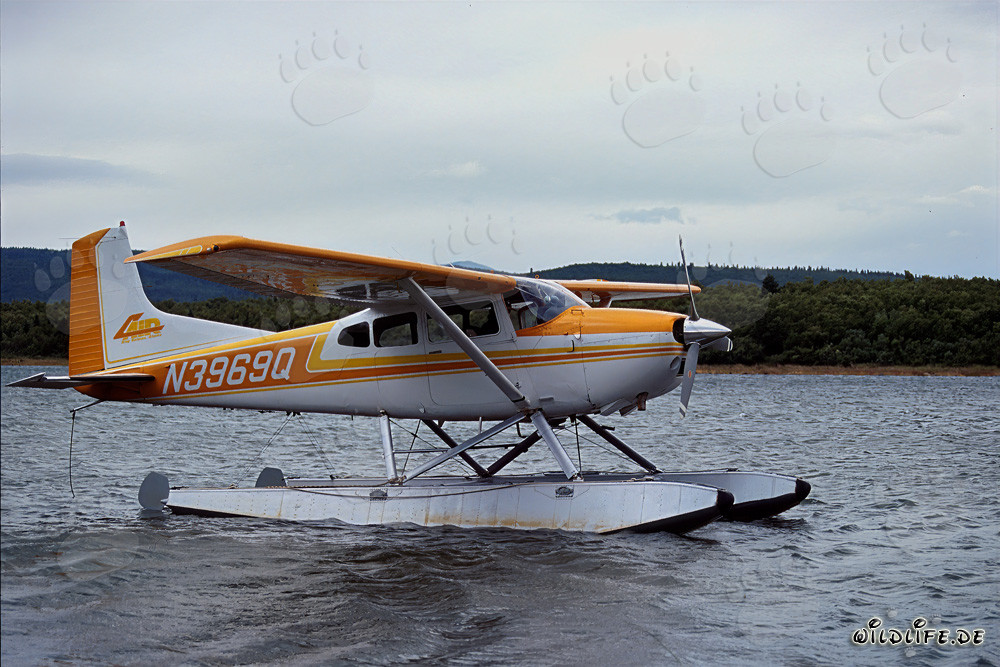Avventura in idrovolante in Alaska