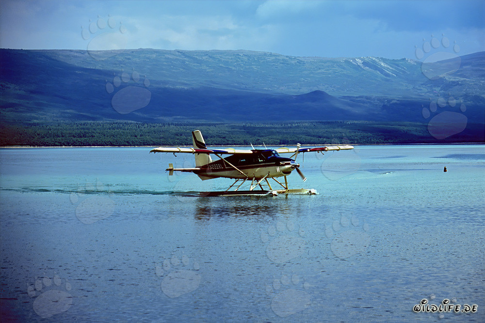 Aereo da cespuglio in Alaska per il trasporto in aree remote
