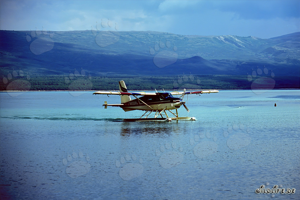 Avion brousse en Alaska pour le transport dans des régions reculées