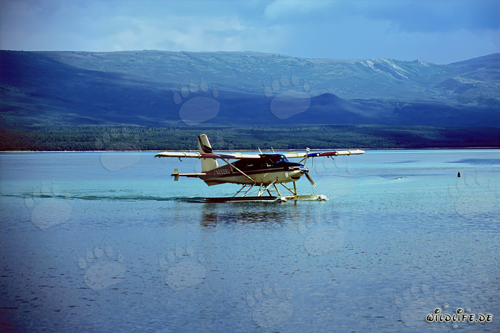 Avión de matorral en Alaska para el transporte en áreas remotas