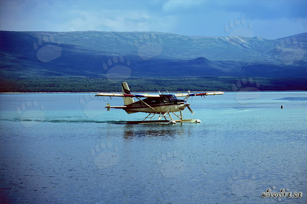 Buschflugzeug in Alaska für den Transport in entlegene Gebiete