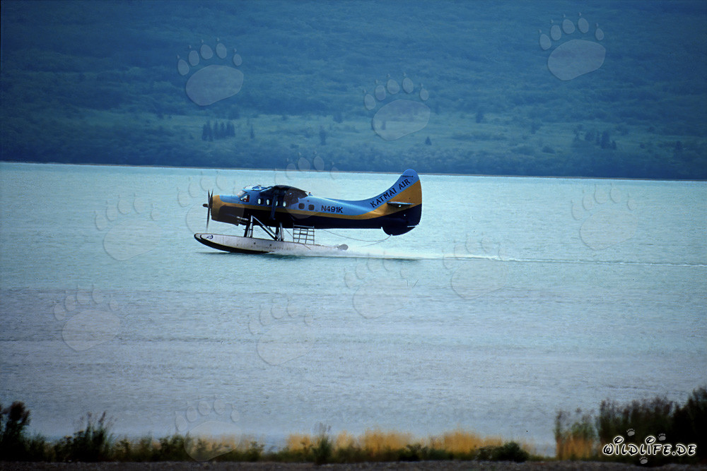 Hidroavión en Alaska en el río Brooks