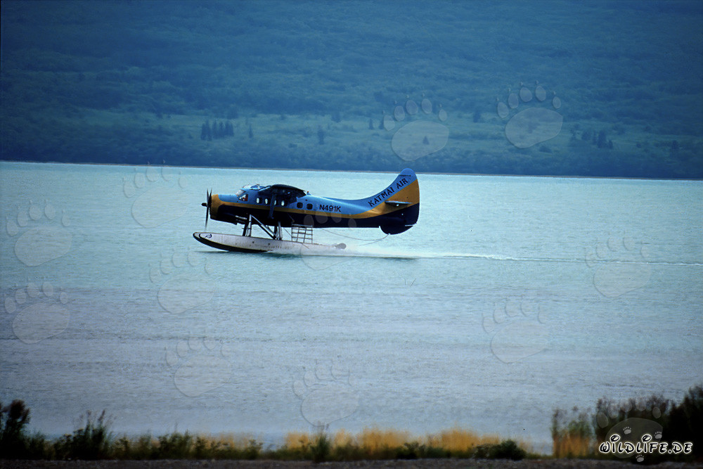 Hydravion en Alaska à la rivière Brooks