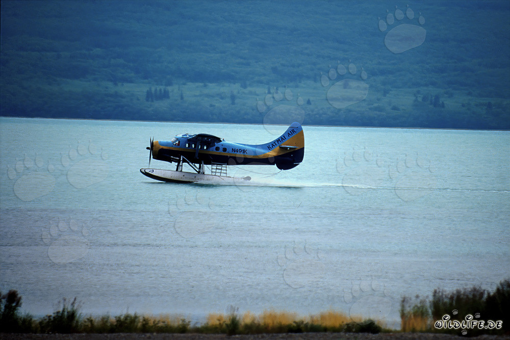 Wasserflugzeug in Alaska am Brooks River