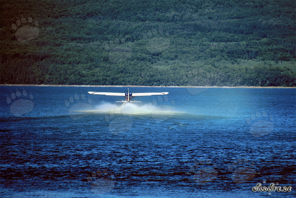 Abenteuer mit dem Buschflugzeug in Alaska