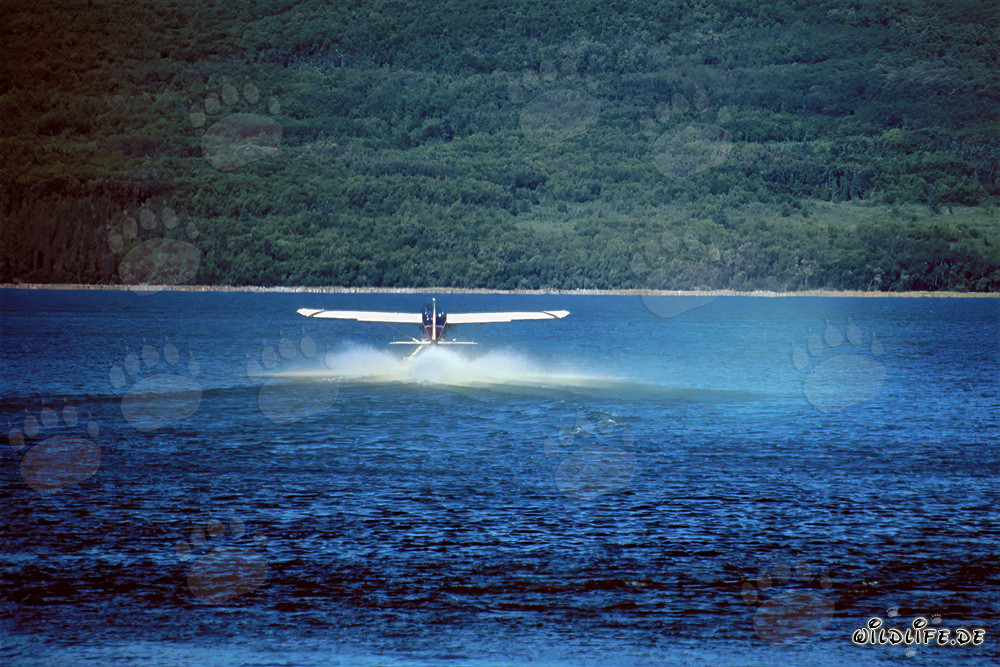 Adventure with the Bush Plane in Alaska