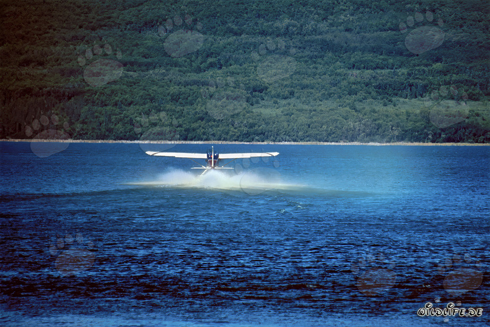 Aventura en hidroavión en Alaska