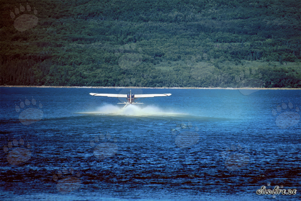 Avventura in idrovolante in Alaska