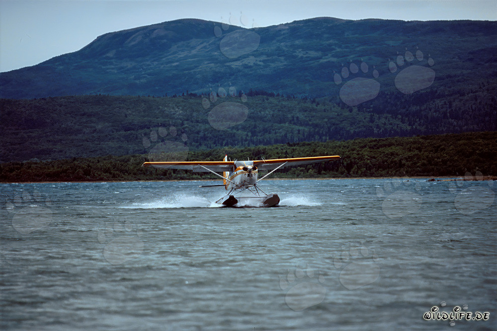 Abenteuer mit dem Buschflugzeug in Alaska