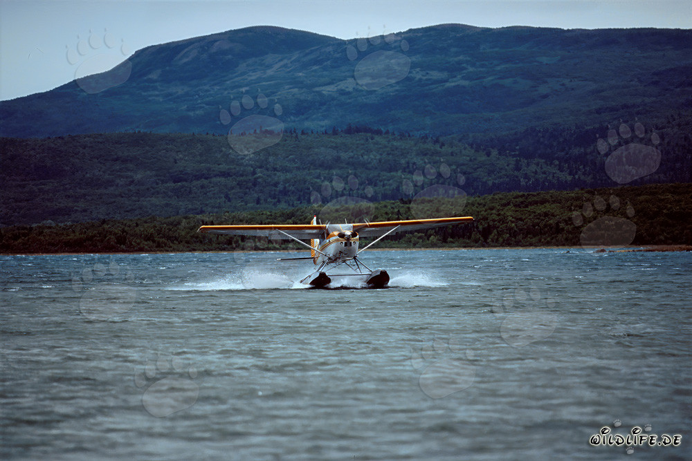 Adventure with the bush plane in Alaska