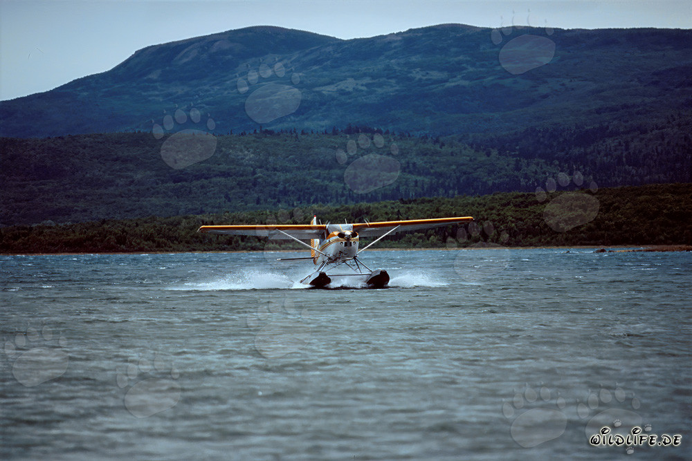 Aventura en hidroavión en Alaska