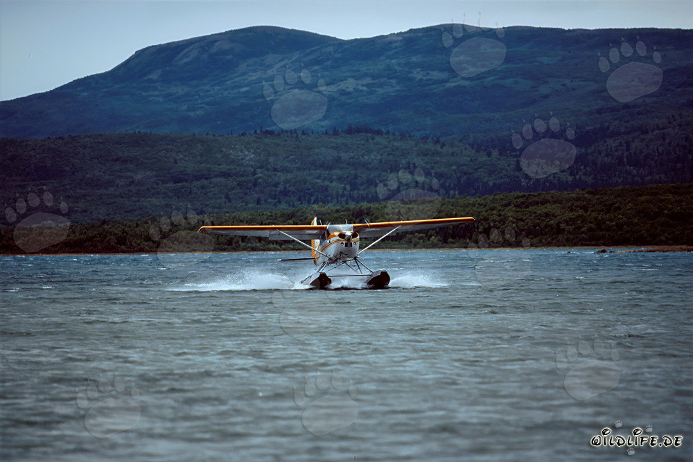 Aventure en hydravion en Alaska