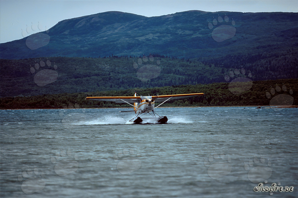Avventura in idrovolante in Alaska