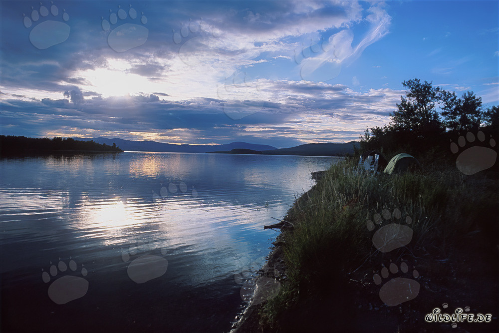 Evening at Lake Coville