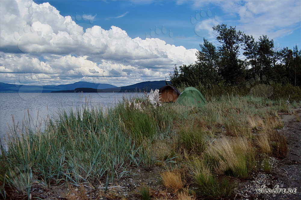 Camping at the Picturesque Lake Coville in Alaska