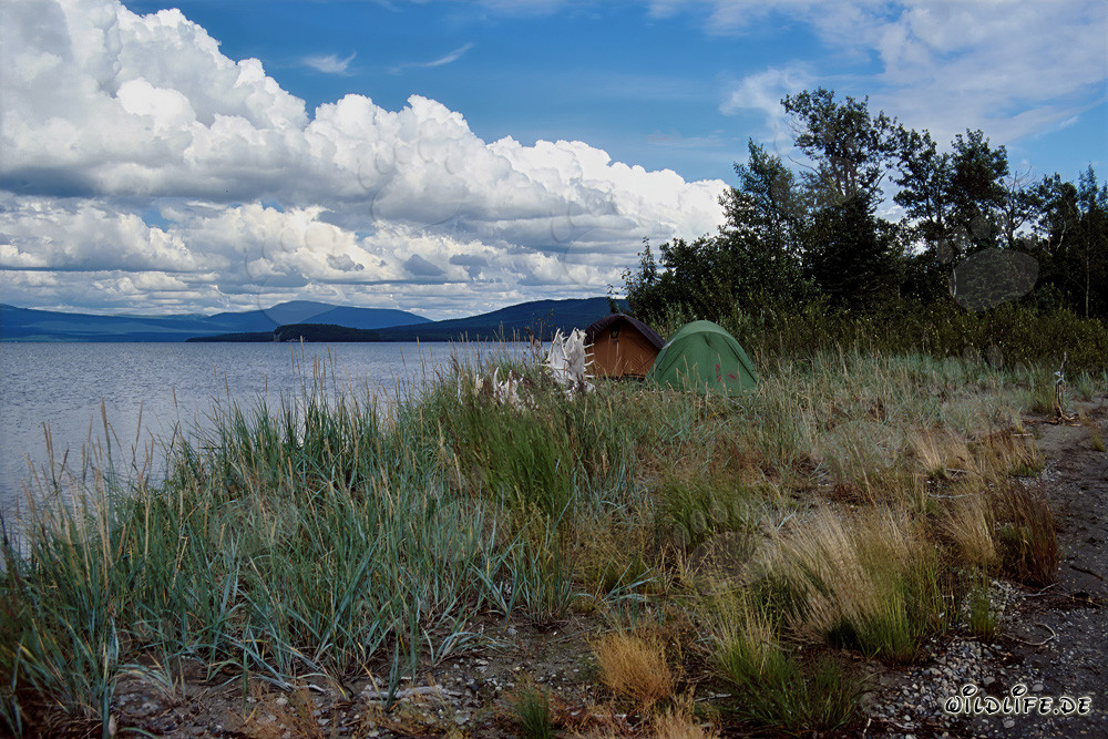 Camping au pittoresque lac Coville en Alaska