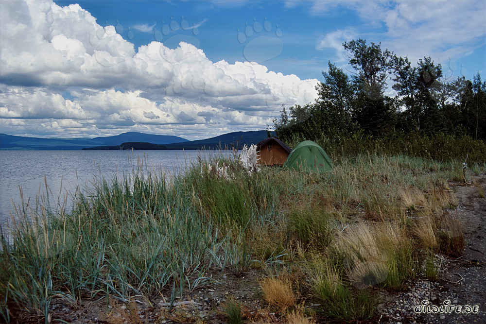 Camping en el idílico lago Coville en Alaska