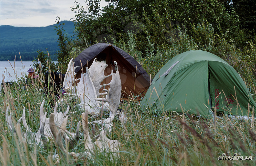 Camping at the Idyllic Lake Coville in the Untouched Wilderness of Alaska