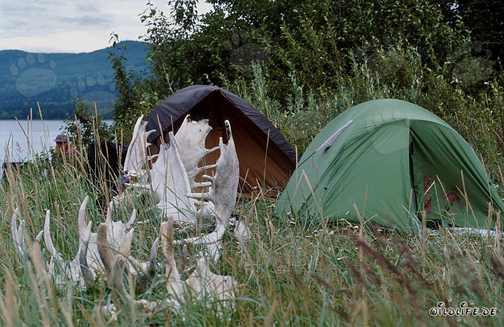 Camping en el pintoresco lago Coville en la naturaleza virgen de Alaska