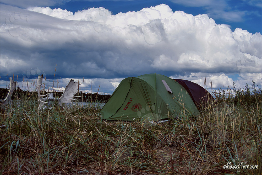 Zelten am Lake Coville in der Wildnis Alaskas