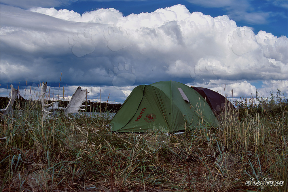 Camping at Lake Coville in the Alaskan Wilderness