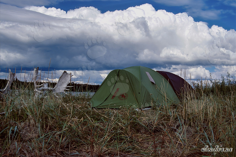 Camping au lac Coville dans la nature sauvage de l'Alaska