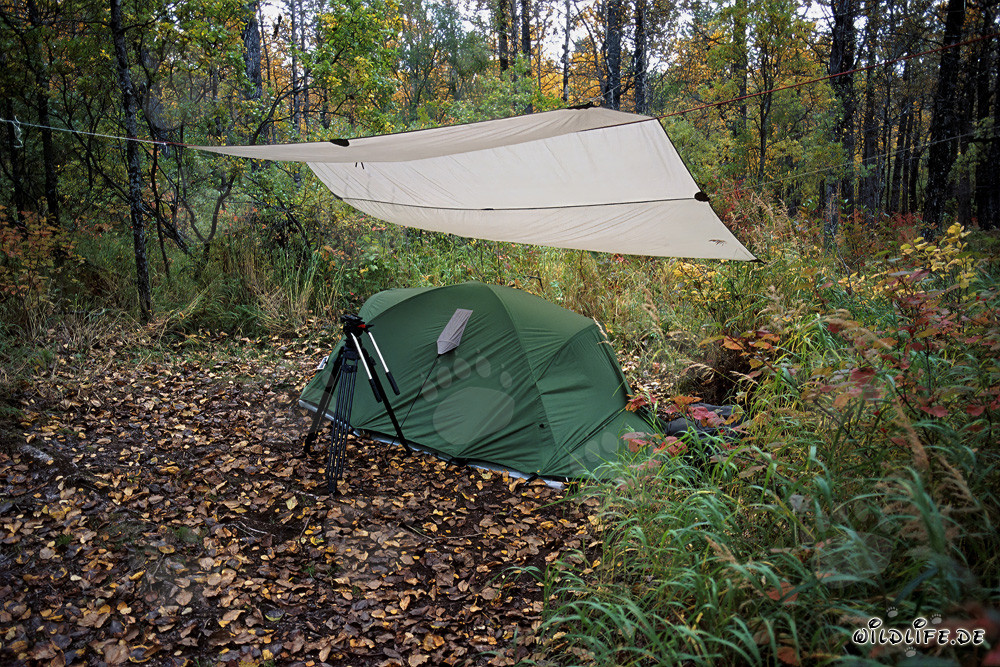 Einzigartiges Naturerlebnis - Zelten am Brooks Campground
