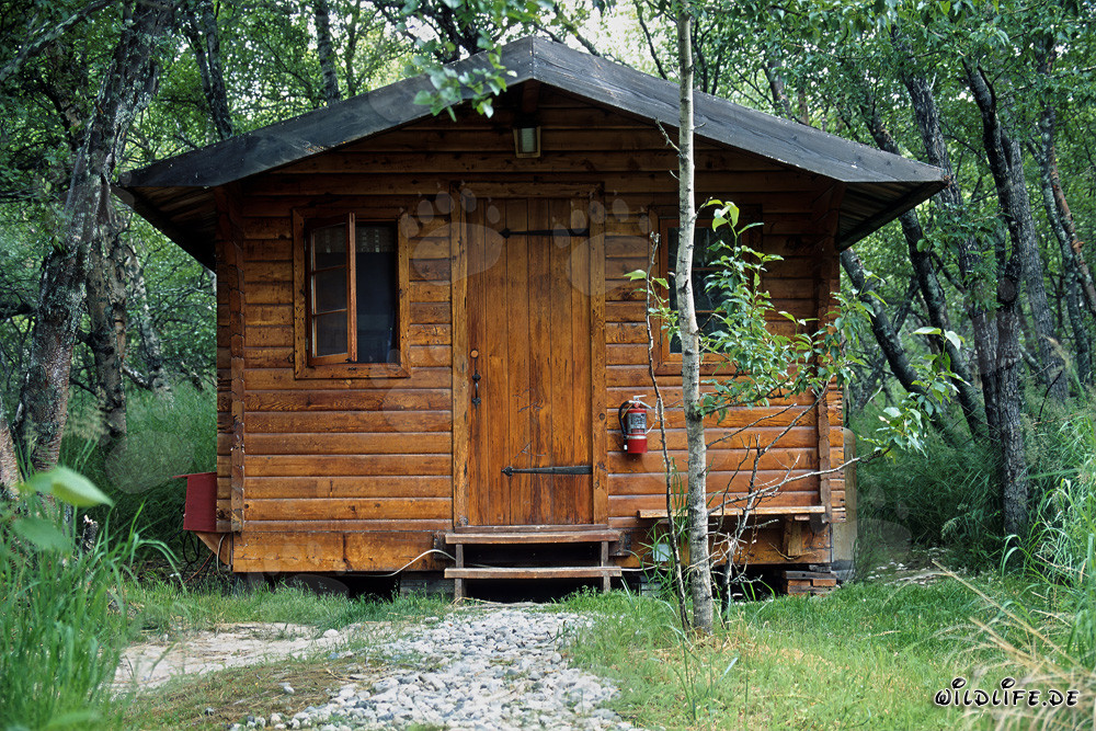 Grosvenor Lodge at the Picturesque Grosvenor Lake in Alaska