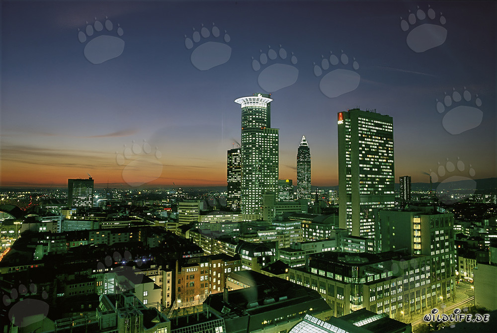 Fascinating Skyline of Frankfurt at Night