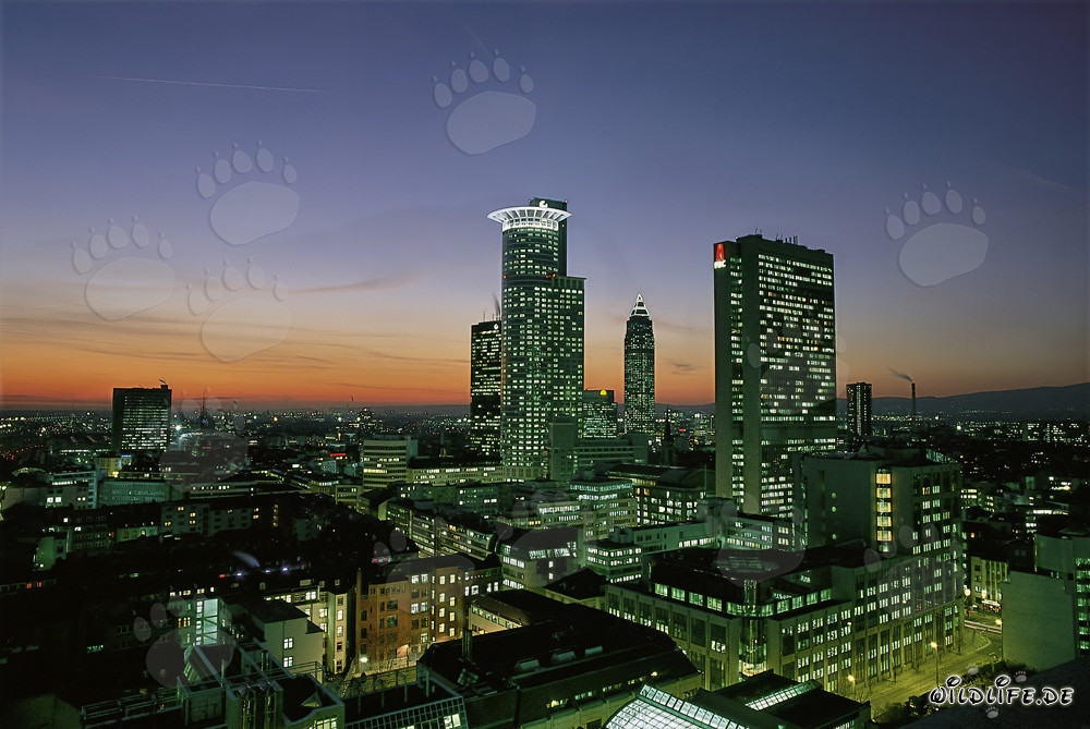Fascinating Skyline of Frankfurt at Night