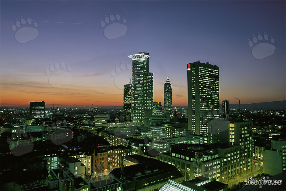 Fascinante skyline de Frankfurt de noche