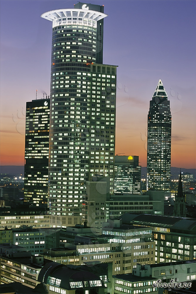 Superbe skyline de Francfort de nuit