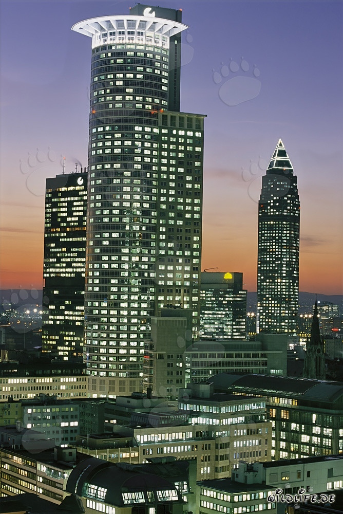 Faszinierende Skyline von Frankfurt bei Nacht