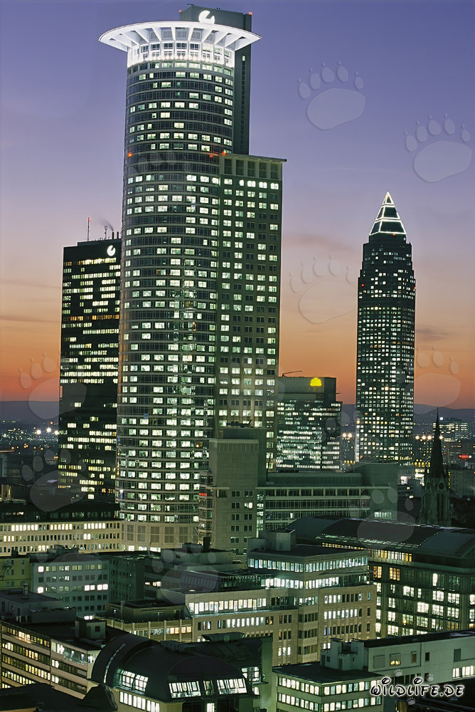 Fascinante skyline de Frankfurt de noche
