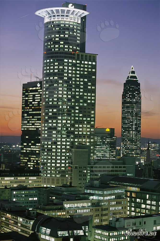 Faszinierende Skyline von Frankfurt bei Nacht
