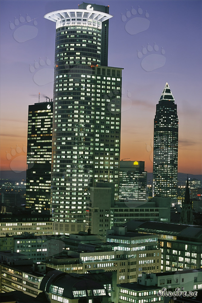 Impresionante skyline de Fráncfort de noche
