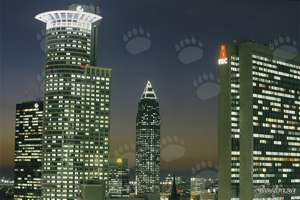 Skyline de Fráncfort de noche - Metrópoli financiera bajo las luces