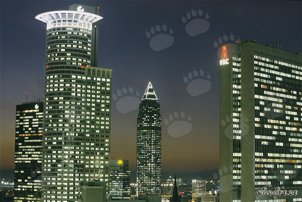 Skyline di Francoforte di notte - Metropoli finanziaria sotto le luci