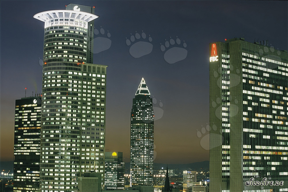 Skyline de Francfort de nuit - Métropole financière sous les feux des projecteurs