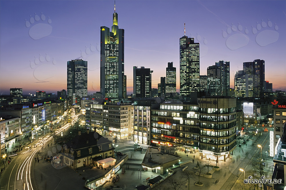 Faszinierende Skyline von Frankfurt bei Nacht