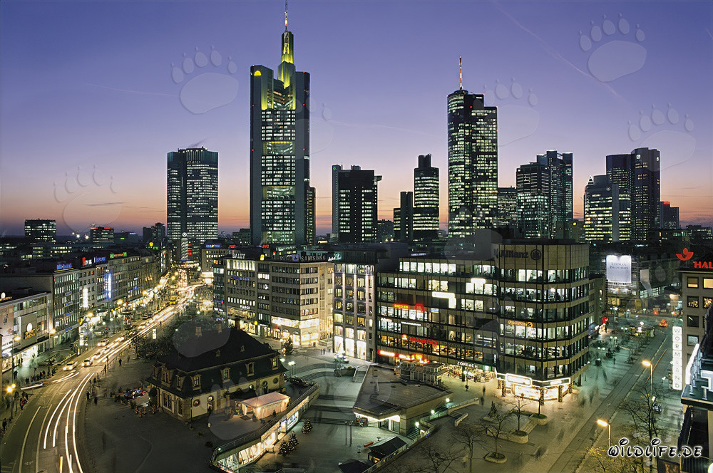 Fascinating Frankfurt Skyline at Night