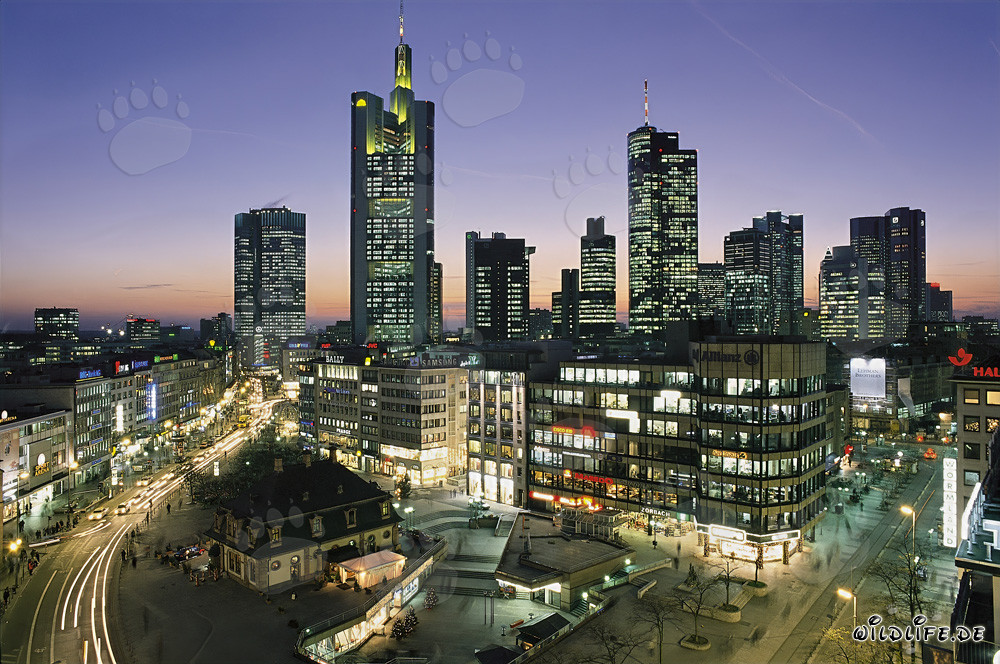 Fascinante skyline de Frankfurt de noche