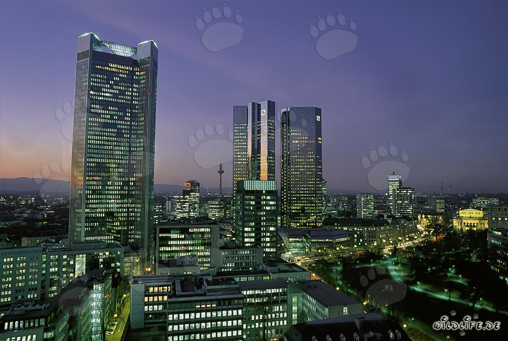 Skyline fascinante de Francfort de nuit