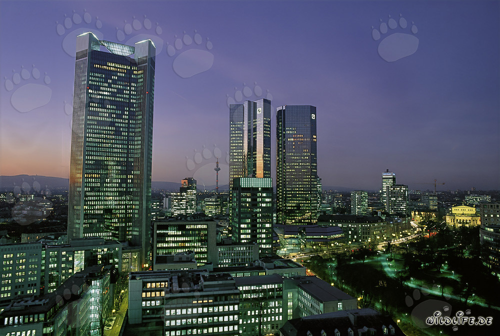 Faszinierende Skyline von Frankfurt bei Nacht