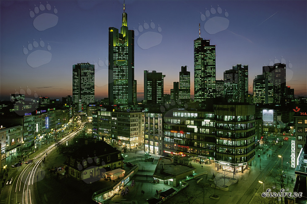 Skyline fascinante de Francfort de nuit