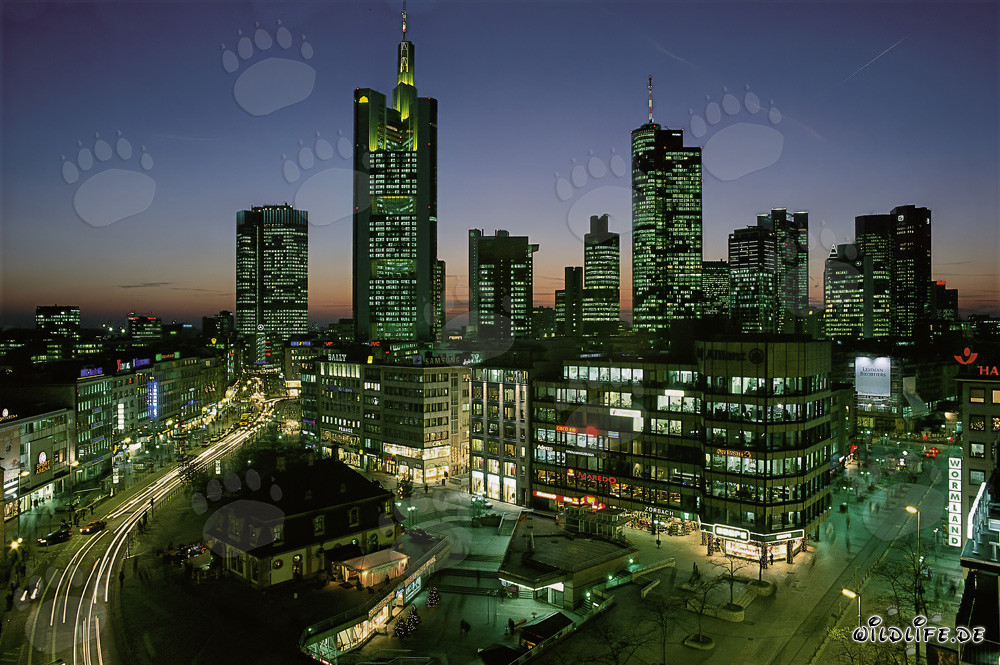 Faszinierende Skyline von Frankfurt bei Nacht
