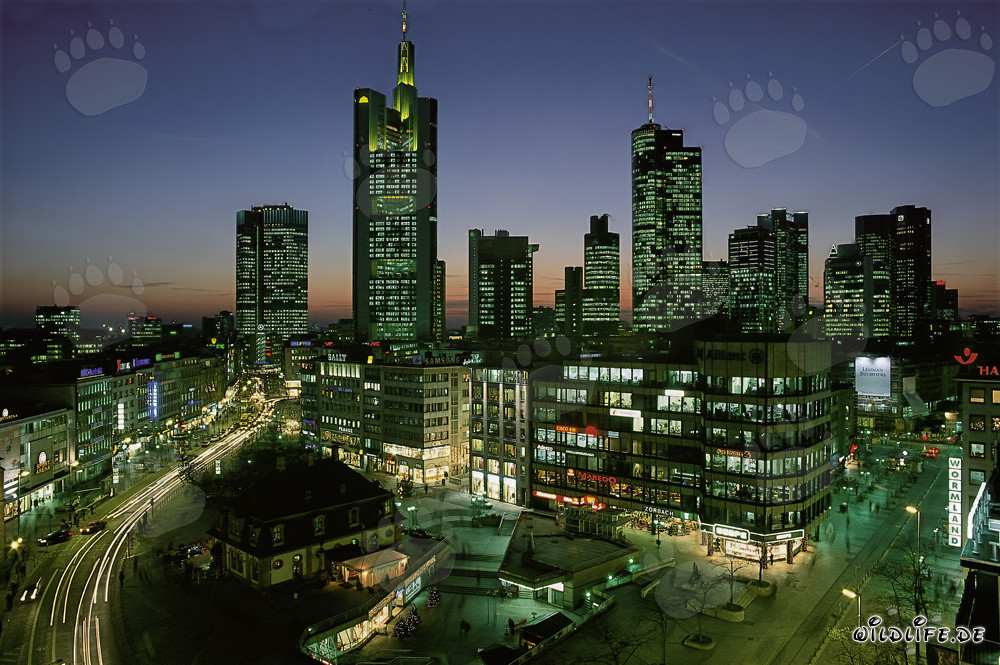 Fascinante skyline de Frankfurt de noche