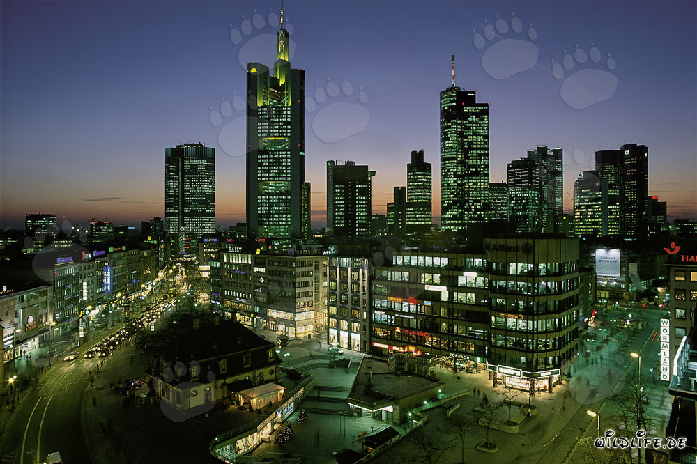 Frankfurt skyline at night with impressive skyscrapers